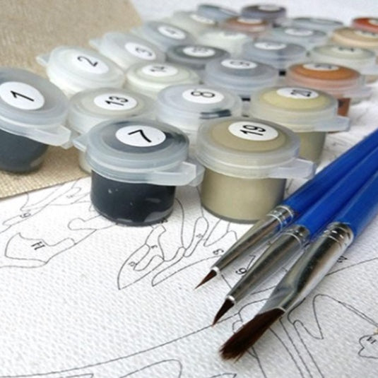 Paint by Numbers Kit with brushes, canvas and paint