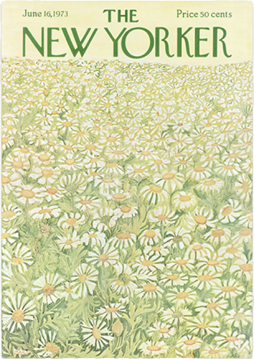 'New Yorker' Poster Print Collection