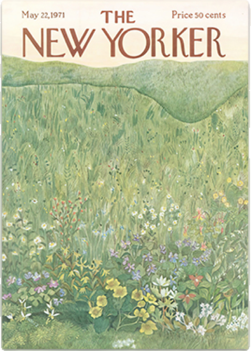 'New Yorker' Poster Print Collection