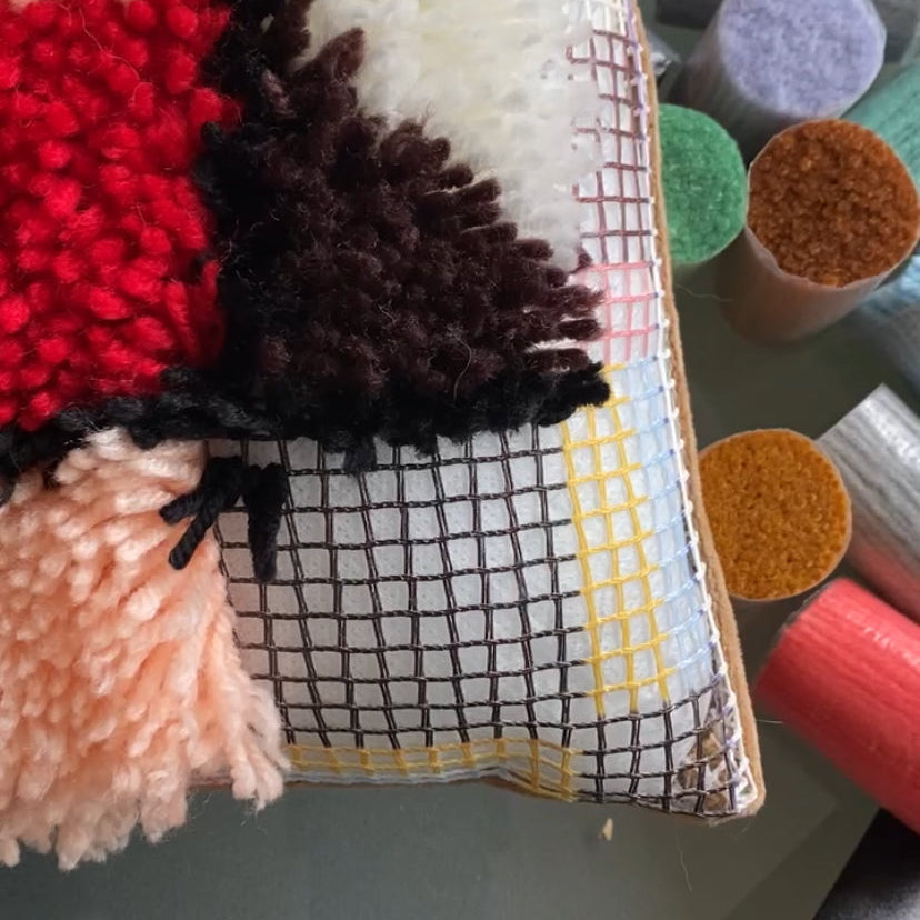 Latch Hook Pillow Cover Kit - Cubo FlatPackPony