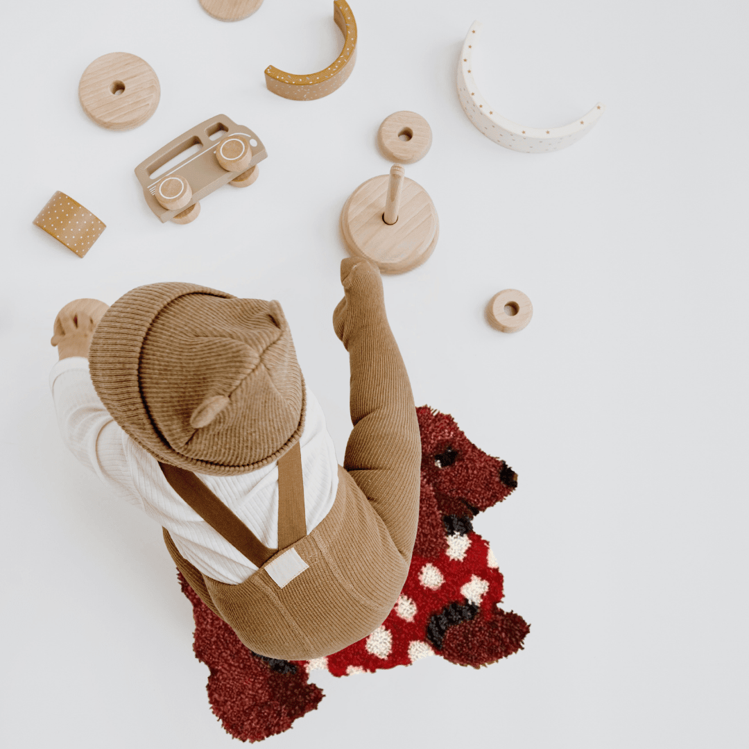 Latch Hook Rug Kit Set - Dachshund Rug - Flatpackpony