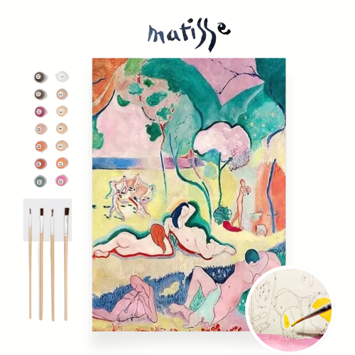 Matisse Paint By Numbers Kit - Flatpackpony